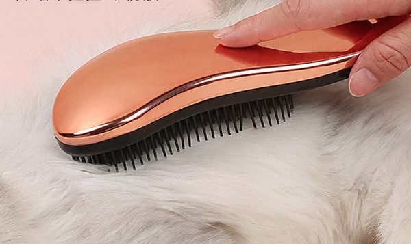 Βούρτσα γάτας