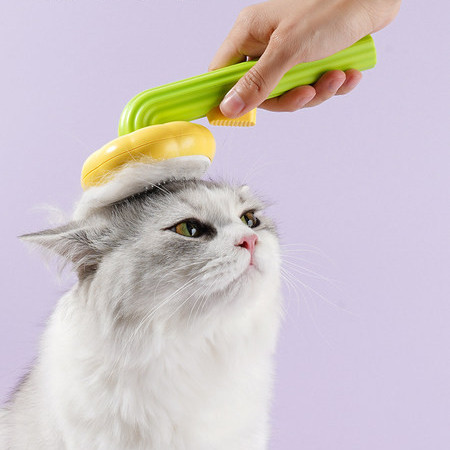 Kassidele sobiv pintsel kammimiseks ja massaažiks