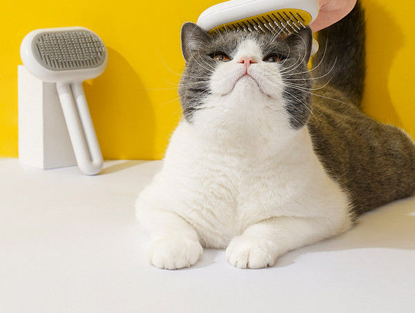 Perie pentru pisici in doua culori