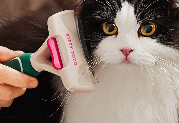 mugava kummist käepidemega kassihari