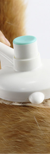 Perie pentru păr de pisică