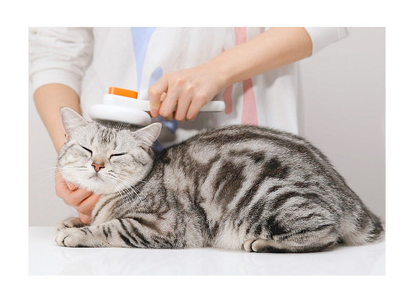 Perie rotunda pentru pieptanat parul