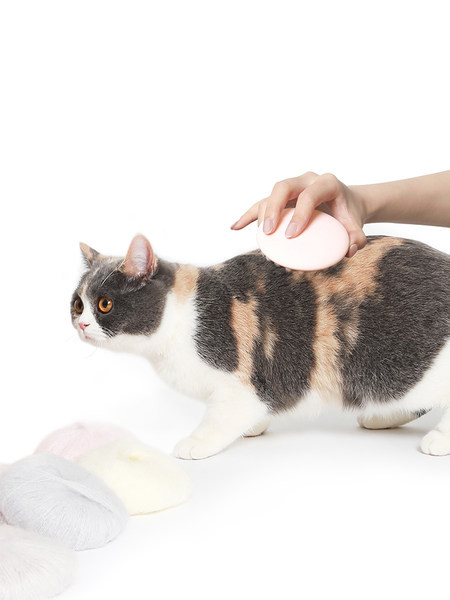 Pieptănați pentru a îndepărta părul de pisică în două culori