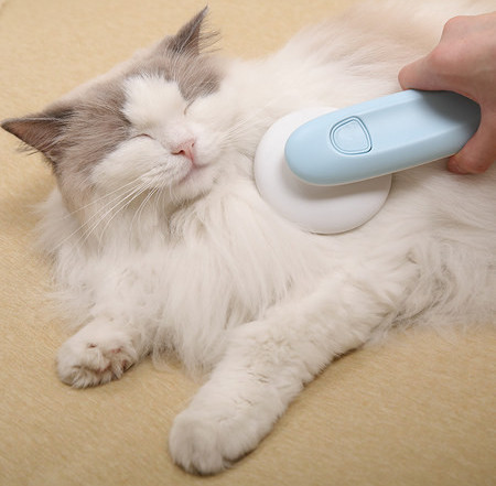 Perie pentru curățarea părului de pisică moartă