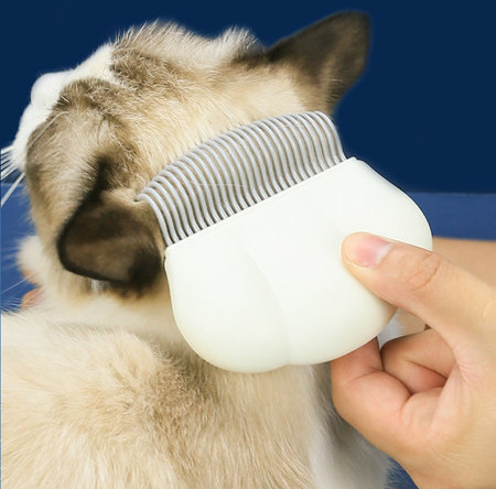 Kamm kasside kammimiseks