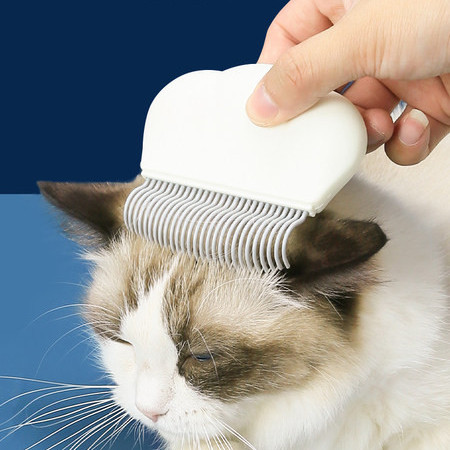 Kamm kasside kammimiseks