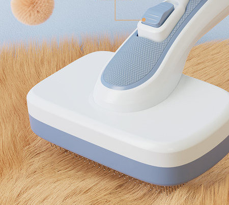 Perie pentru pieptănarea părului și un nasture pentru curățare ușoară