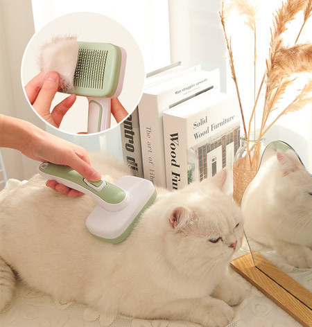 Perie pentru pieptănarea părului și un nasture pentru curățare ușoară