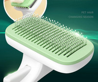 Pintsel surnud karvade puhastamiseks – sobib kassidele