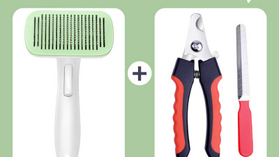 Pintsel surnud karvade puhastamiseks – sobib kassidele