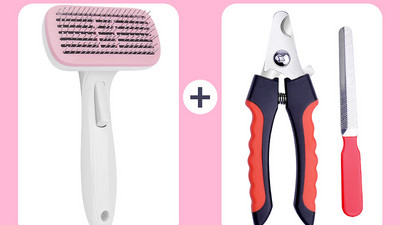 Pintsel surnud karvade puhastamiseks – sobib kassidele