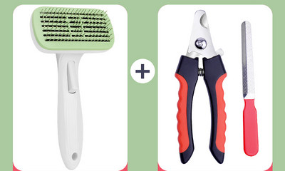 Pintsel surnud karvade puhastamiseks – sobib kassidele