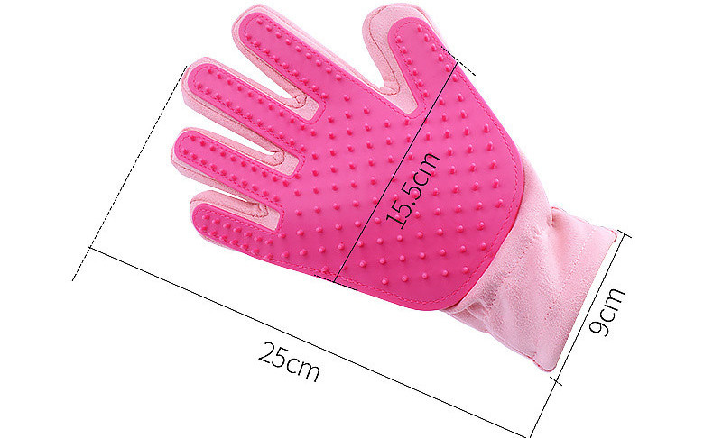 Kinnaste komplekt kasside karvade eemaldamiseks