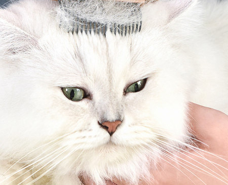 Στρογγυλή πλαστική βούρτσα με εύκολη λειτουργία καθαρισμού