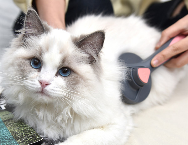 Perie pentru animale de companie cu buton pentru curatare usoara