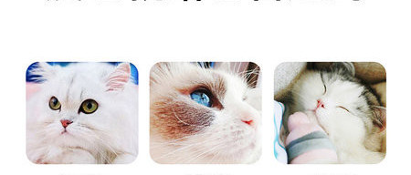 Βούρτσα περιποίησης γάτας ή βούρτσα μπάνιου από καουτσούκ