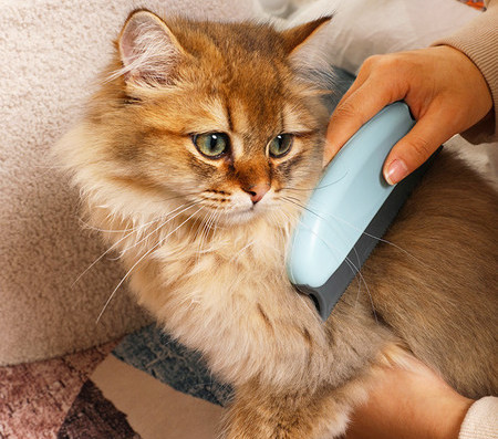 Pieptene pentru animale de companie