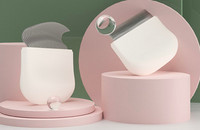 Pieptene pentru pieptănarea pisicilor