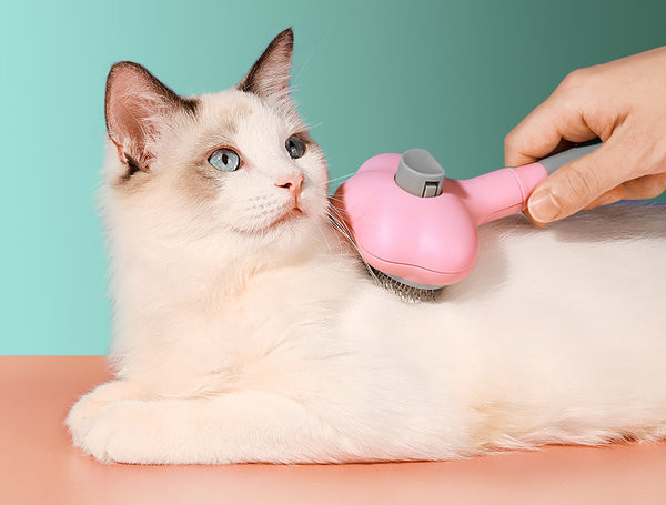 Perie de păr de pisică