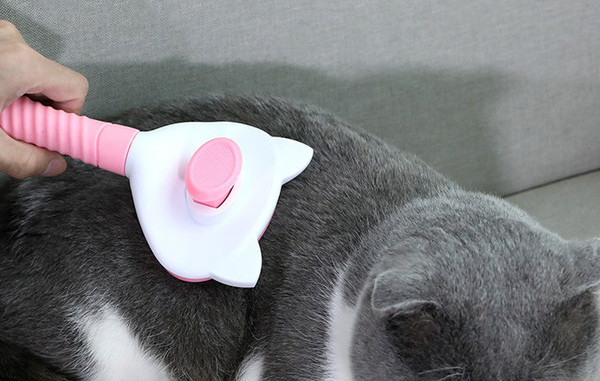 Perie pentru a îndepărta părul de pisică moartă