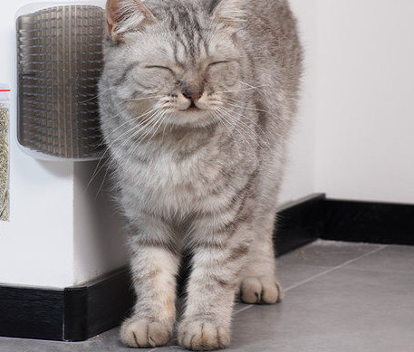 Nurgahari lemmikloomadele