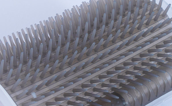 Nurgahari lemmikloomadele