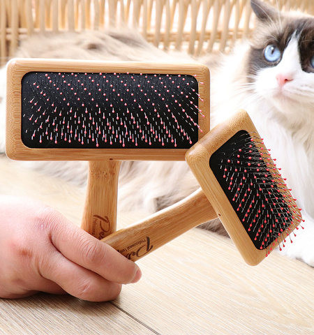 Pintsel või kamm surnud kasside karvade eemaldamiseks