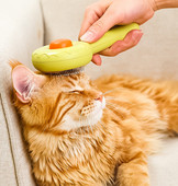 Βούρτσα χτενίσματος κατοικίδιων ζώων