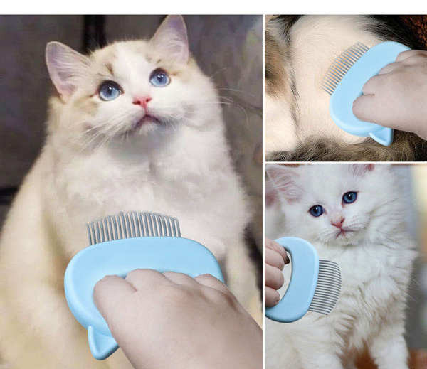 Pieptene pentru curățarea părului de pisică moartă