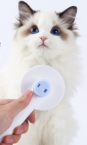 Kačių plaukų šepetys