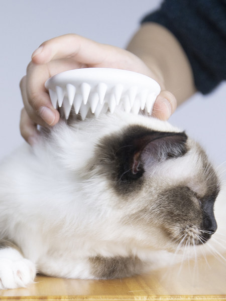 Βούρτσα μασάζ για γάτες για αφαίρεση τριχών