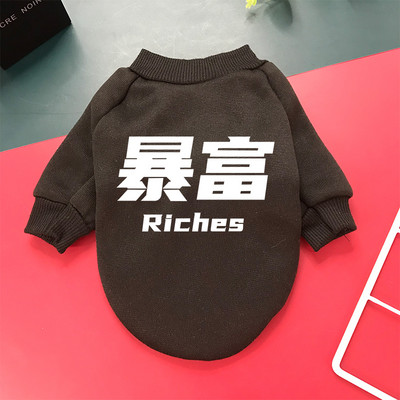 Imbracaminte de toamna-iarna pentru caini cu imprimeu color