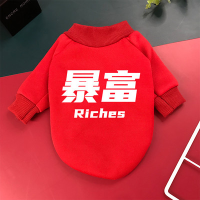 Imbracaminte de toamna-iarna pentru caini cu imprimeu color