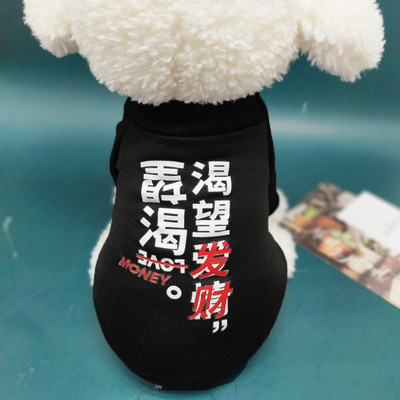 Imbracaminte de toamna-iarna pentru caini cu imprimeu color