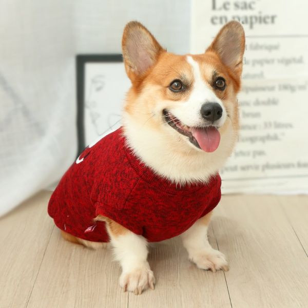 Vesta toamna-iarna pentru caini