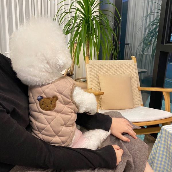 Vesta pentru caini in bej si alb