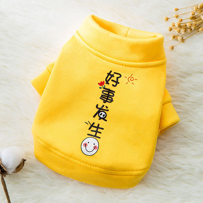 Ρούχα για σκύλους σε διαφορετικά μοντέλα