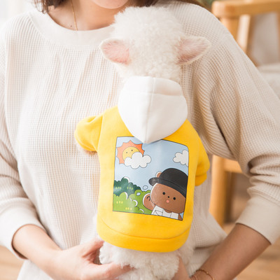 Ρούχα για σκύλους σε διαφορετικά μοντέλα