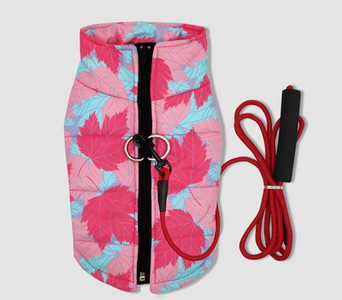 Värvilised riided koertele