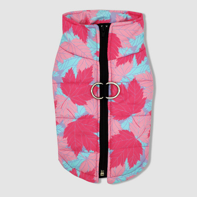 Värvilised riided koertele