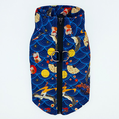 Värvilised riided koertele