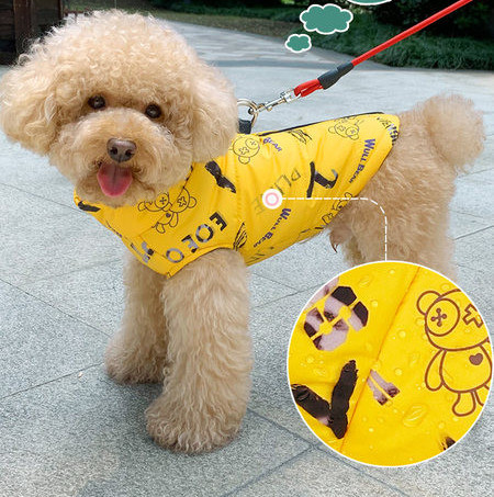 Värvilised riided koertele