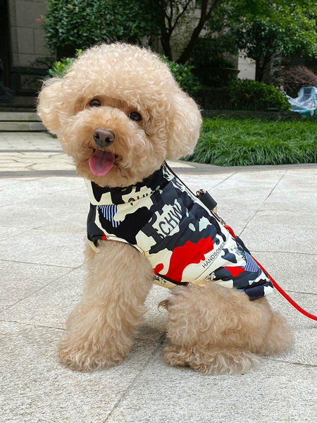 Värvilised riided koertele