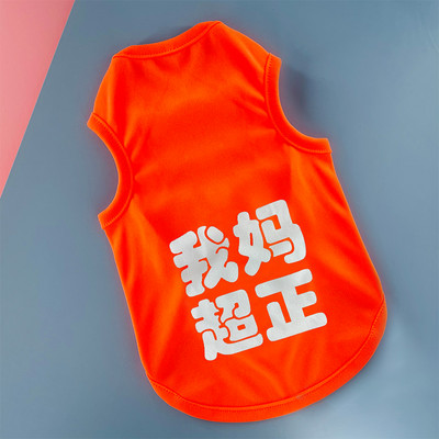 Ρούχα για σκύλους - πολλά μοντέλα