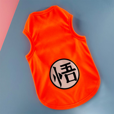 Ρούχα για σκύλους - πολλά μοντέλα