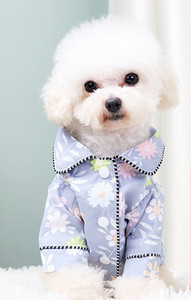 Pijamale pentru câini în mai multe culori