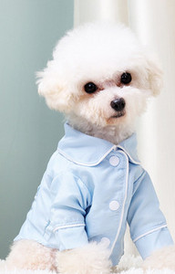 Pijamale pentru câini în mai multe culori