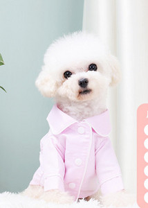 Pijamale pentru câini în mai multe culori