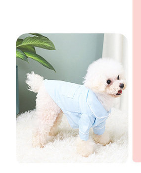 Pijamale pentru câini în mai multe culori