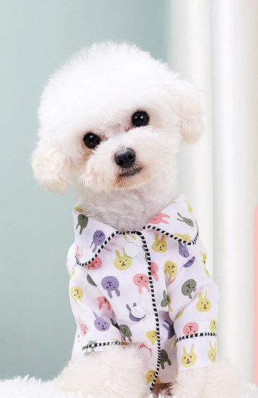 Pijamale pentru câini în mai multe culori